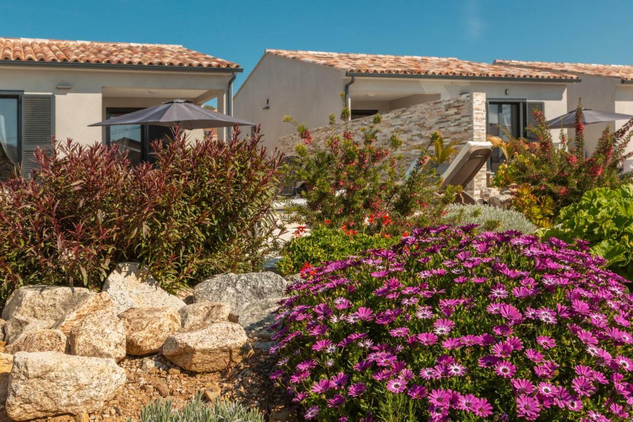 Le Domaine De Marie Villa Palasca (Corsica)